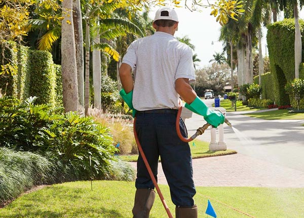 About Ridgway CO Pest Control